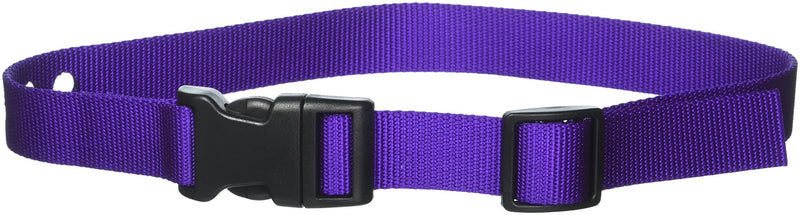 [Australia] - Grain Valley 1" Replacement Strap, Color: Purple. Sold Per Each. Fits Most PetSafe Bark Collars and Many Containment Collars. (No-Bark Collars / Accessories) 