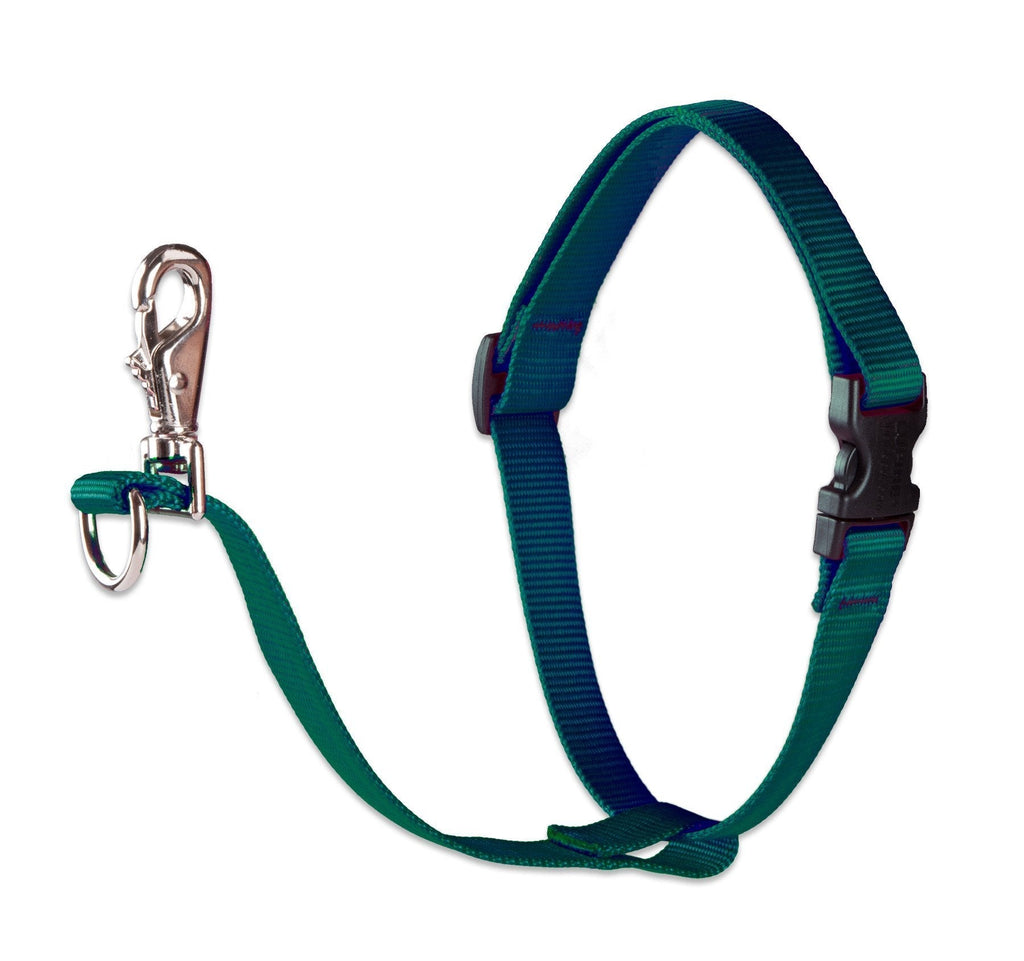 [Australia] - Lupine 1 Inch No Pull Harness for Medium to Large Dogs Green 1"W; 26-38" Girth 