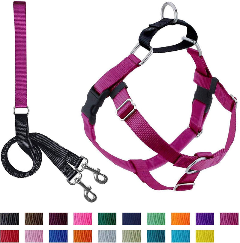 [Australia] - 2 Hounds Design Freedom No-Pull Dog Harness with Leash | X-Small - XX-Large Adjustable Pet Harness for Small and Large Breeds | Made in USA (5/8" Small, Raspberry) 