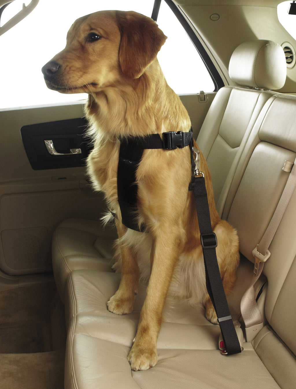 [Australia] - Guardian Gear Ride Right Classic Car Harnesses — Sturdy Nylon Harnesses for Dogs - X-Small Black Large 