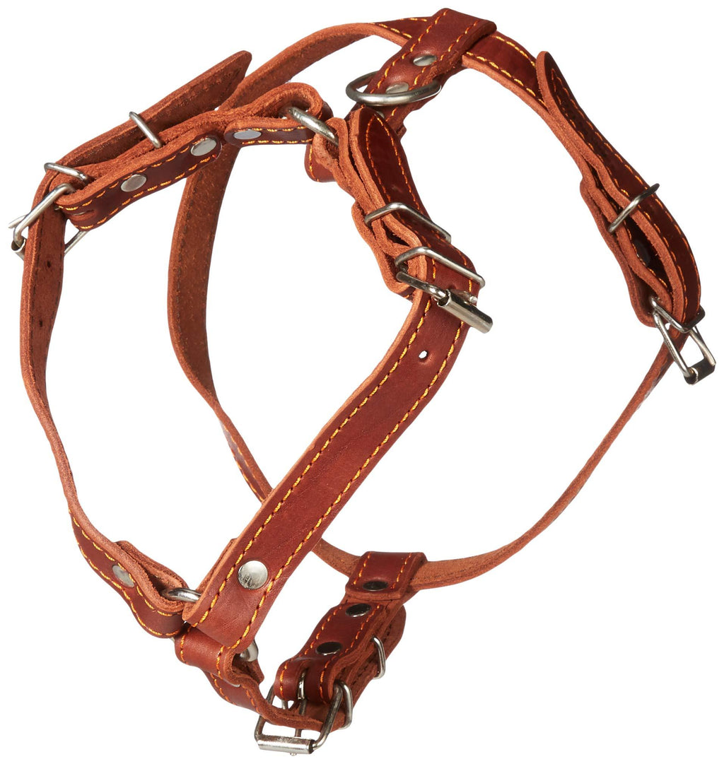 [Australia] - Genuine Leather Dog Walking Harness Medium Brown, 21" - 24" Chest 