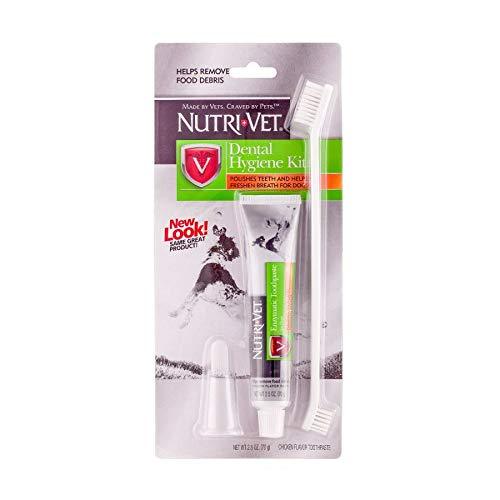 Nutri-Vet Dental Hygiene Kit (Toothbrush & Toothpaste) - PawsPlanet Australia