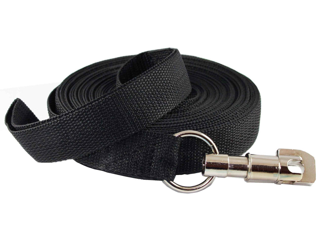 [Australia] - Dog Leash 1" Wide Nylon 10 Feet Extra Long for Training Secure Locking Snape Locking Snap 