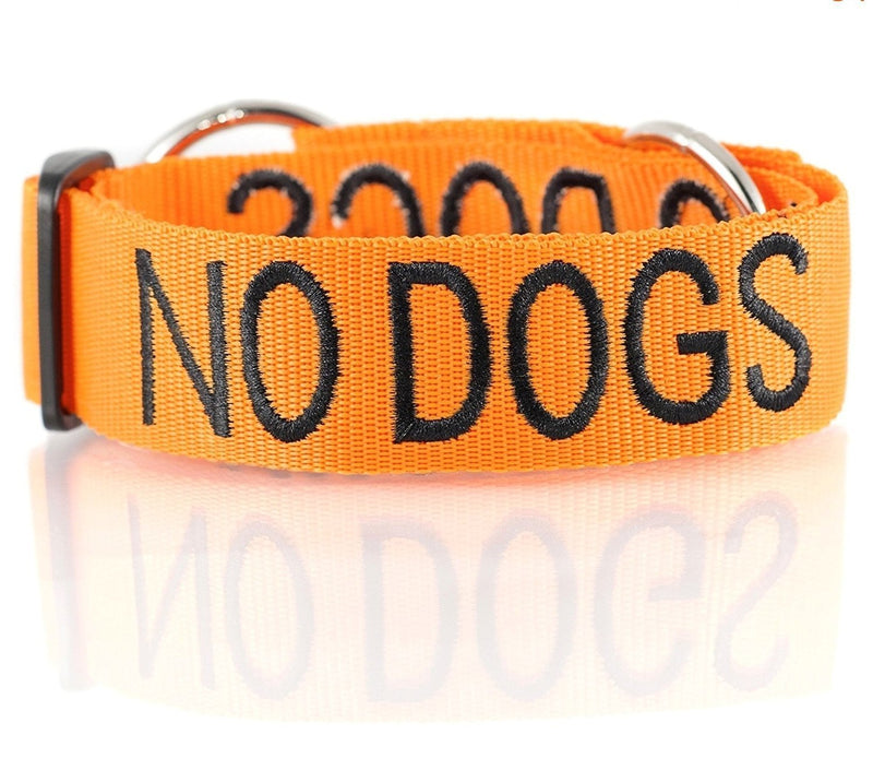 [Australia] - NO DOGS Orange Color Coded Semi-Choke Dog Collar (Not Good with Other Dogs) Prevents Accidents by Warning Others of Your Dog in Advance 