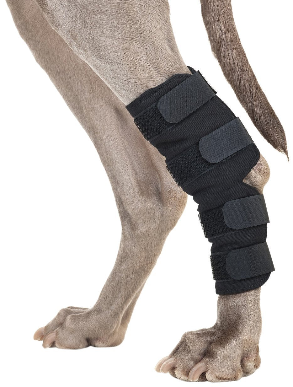 Back on Track Therapeutic Dog Rear Leg/Hock Brace (Pair) Small 7.25-Inch Length, 4 to 6.25 Inches Top Width, 3 to 4.75-Inches Bottom Width with 4 Adjustable Velcro Straps - PawsPlanet Australia