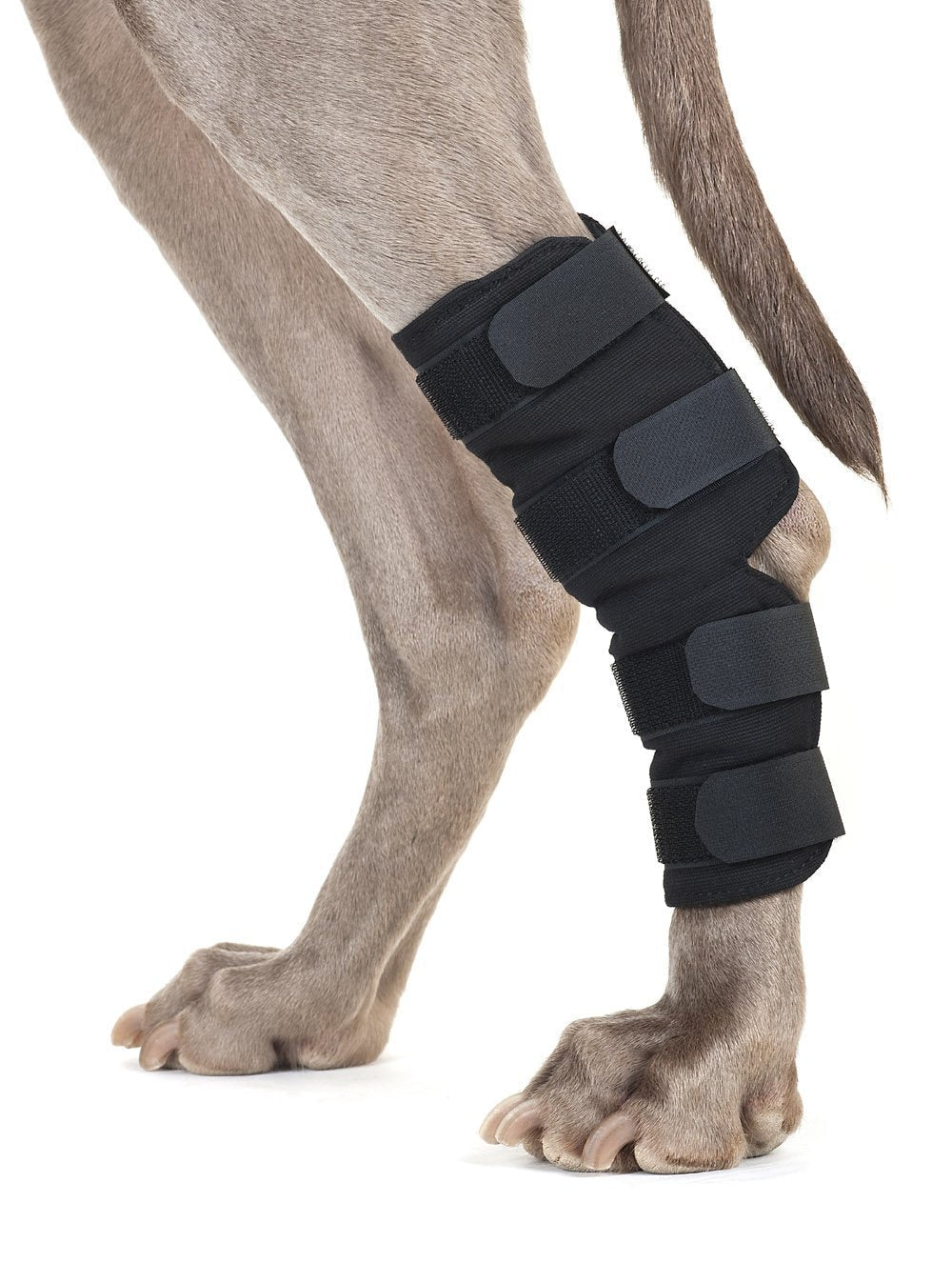 Back on Track Therapeutic Dog Hock Wraps Large 8.6" Long, 7.8" Top Width, 6" Bottom Width - PawsPlanet Australia