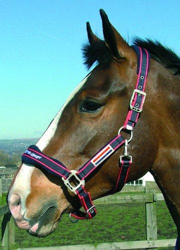 John Whitaker WHCS Head Collars Cob Navy/Red - PawsPlanet Australia