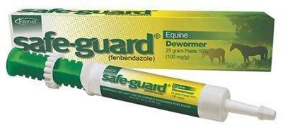 Safe-Guard Equine Dewormer - PawsPlanet Australia
