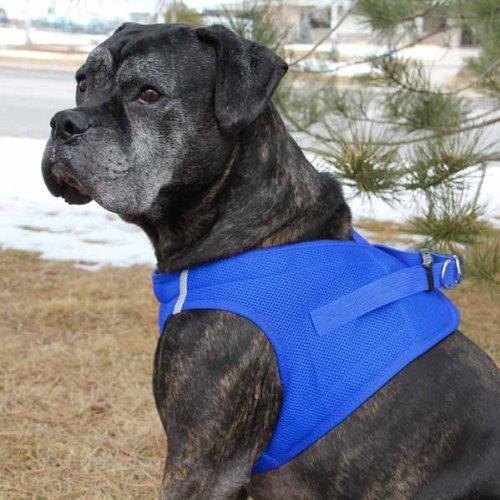 [Australia] - CHOKE FREE REFLECTIVE STEP IN ULTRA HARNESS - BLUE - ALL SIZES - AMERICAN RIVER (Small) by Doggie Design 