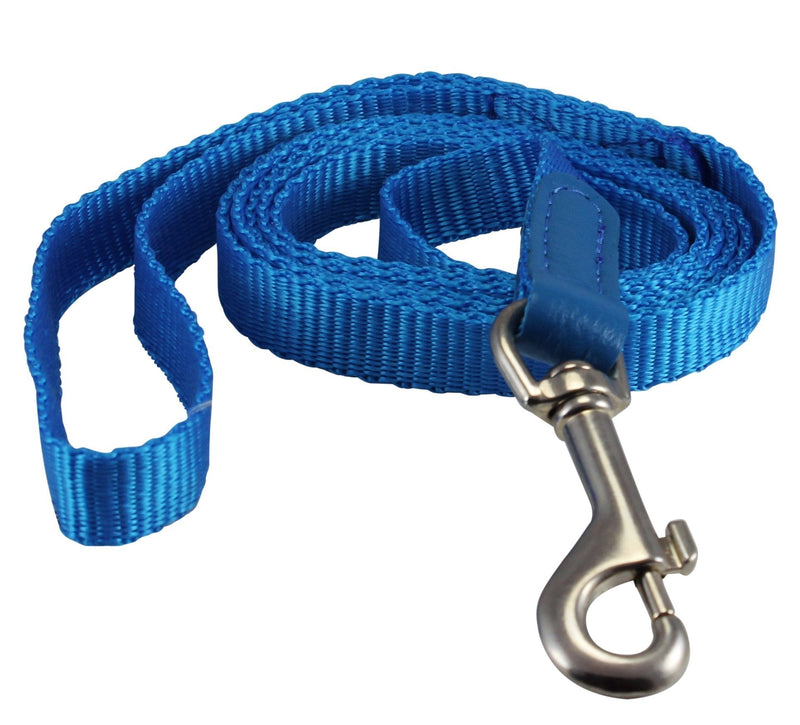 [Australia] - Dog Leash 1/2" Wide Nylon 5ft Length with Leather Enforced Snap Blue Small 