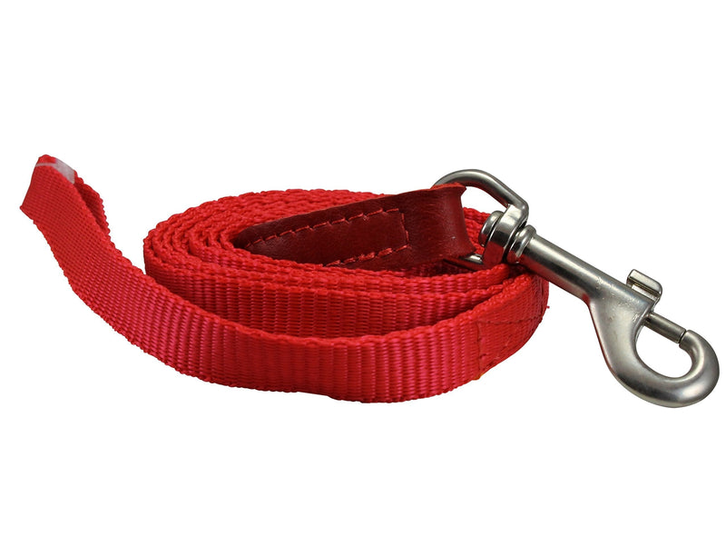 [Australia] - Dog Leash 1/2" Wide Nylon 6ft Length with Leather Enforced Snap Red Small 