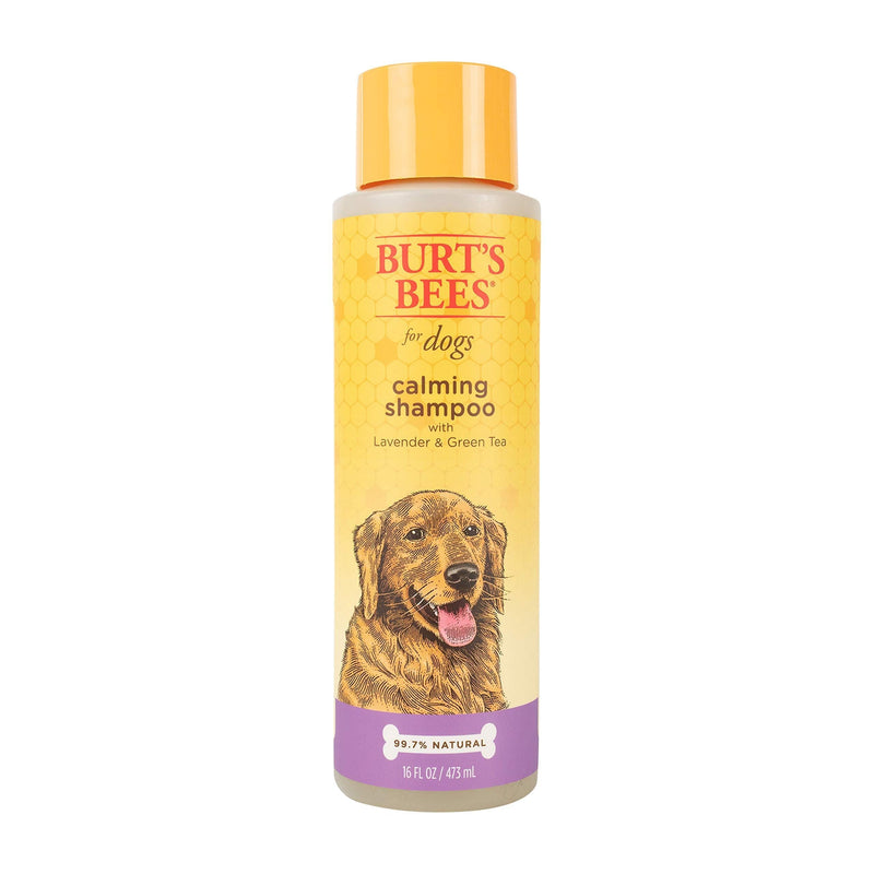 [Australia] - Burt's Bees for Dogs Natural Calming Shampoo with Lavender and Green Tea | Puppy and Dog Shampoo for All Dogs Conditions Dog's Coat for A Healthy Shine 1 Pack Shampoo (16 Ounces) 