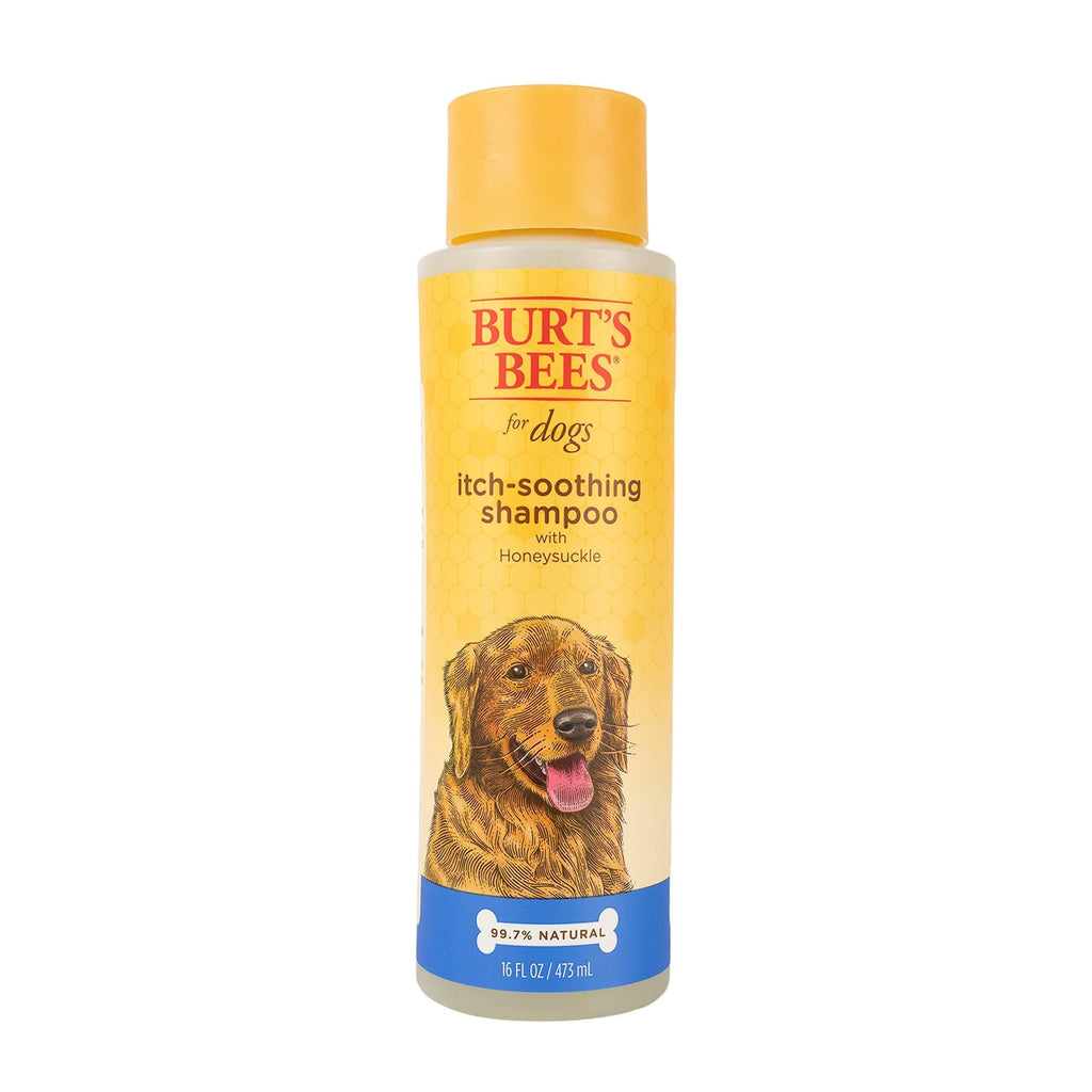 Burt's Bees For Dogs Natural Itch Soothing Shampoo with Honeysuckle | Anti-Itch Dog Shampoo, 16 Ounces - PawsPlanet Australia