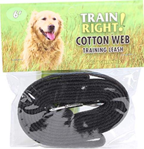 [Australia] - Coastal Pet Products DCP906HBLK Cotton Web Collar Lead for Dogs, 5/8 by 6-Feet, Black 