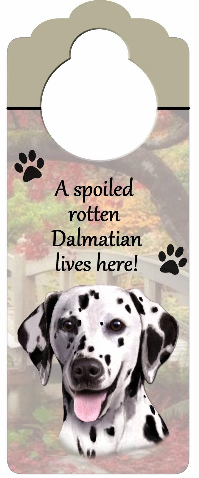 [Australia] - Dalmatian Wood Sign "A Spoiled Rotten Dalmatian Lives Here"with Artistic Photograph Measuring 10 by 4 Inches Can Be Hung On Doorknobs Or Anywhere In Home 