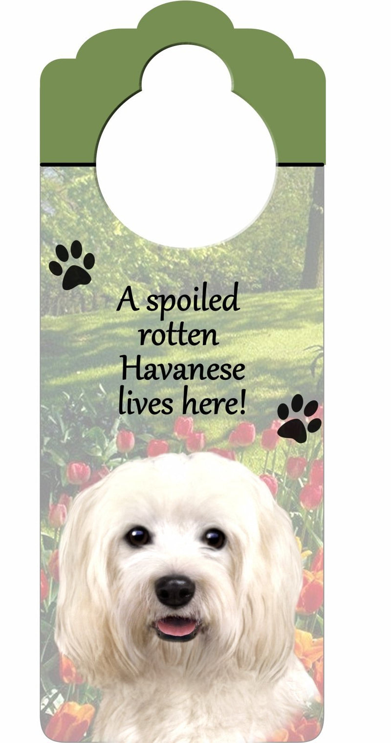 [Australia] - Havanese Wood Sign "A Spoiled Rotten Havanese Lives Here"with Artistic Photograph Measuring 10 by 4 Inches Can Be Hung On Doorknobs Or Anywhere In Home 