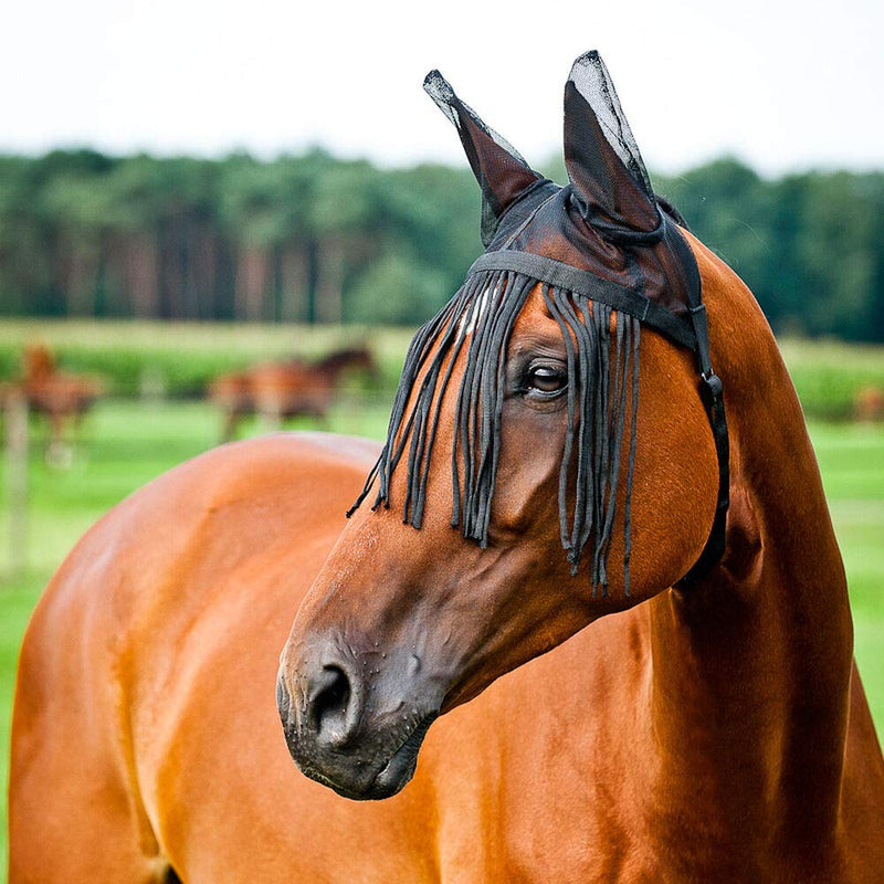 HORZE Fly Veil - Ears - Size:Pony Color:Black - PawsPlanet Australia