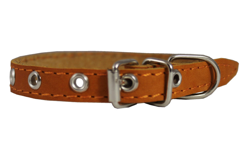 [Australia] - Real Leather Dog Collar 9.5"-13" Neck Size, 1/2" Wide Chihuahua, Puppies 