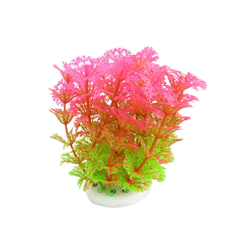 [Australia] - Jardin Plastic Aquatic Dwarf Plant Ornament with Ceramic Base, 4.3-Inch Height, Hot Pink/Green 