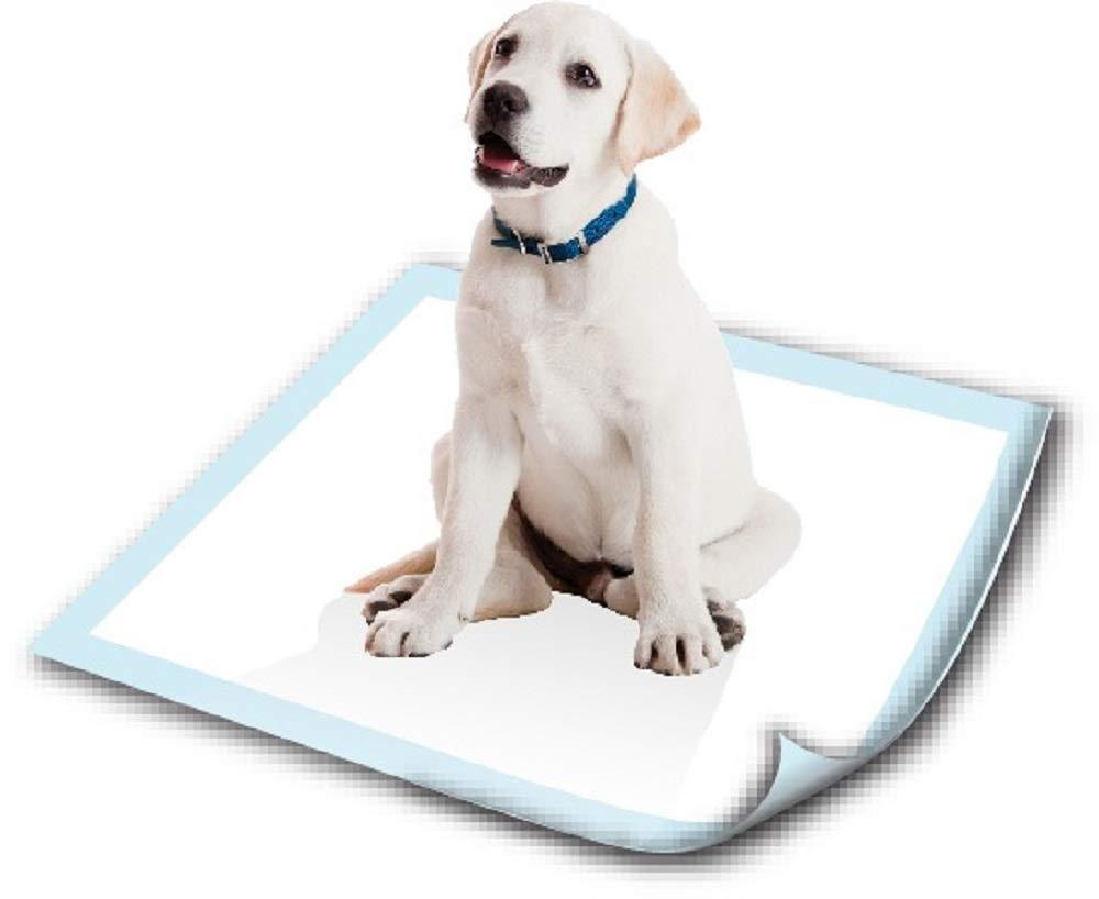 [Australia] - Pooch Pads Disposable Potty Pad (20 Pack) Medium/18" x 28" 