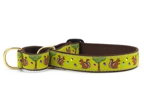 [Australia] - Up Country Nuts Martingale Dog Collar - Medium (12.5-20 Inches) - 1 in Width Medium Wide 12.5 - 20" 