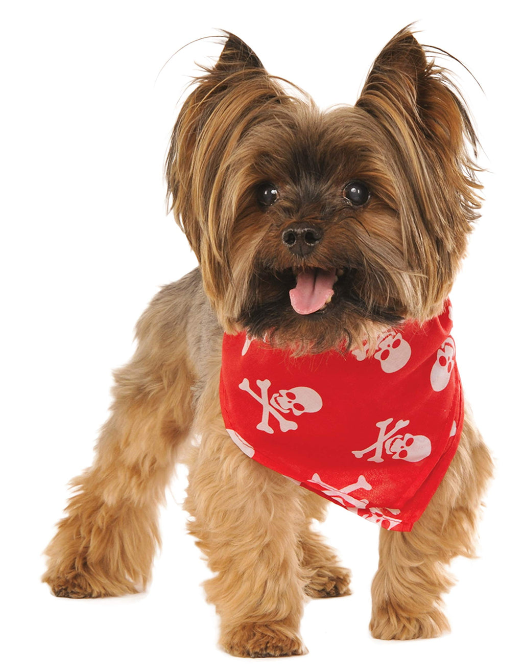 [Australia] - Rubies Skulls and Bones Pet Bandana M-L Red 