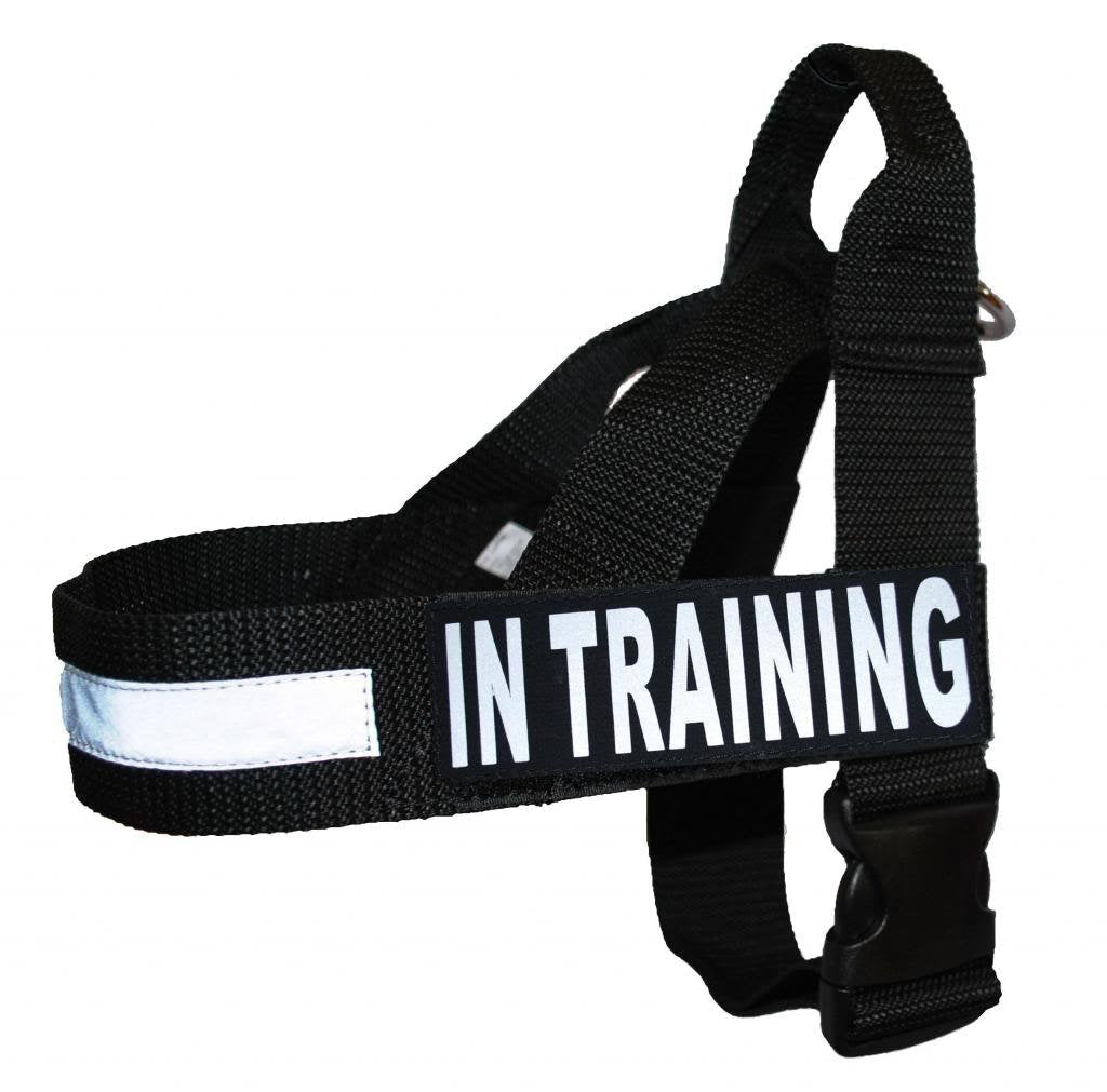 [Australia] - in Training Nylon Strap Service Dog Harness No Pull Guide Assistance Comes with 2 Reflective in Training Removable Patches. Please Measure Your Dog Before Ordering. Large Fits Girth 26-33" 