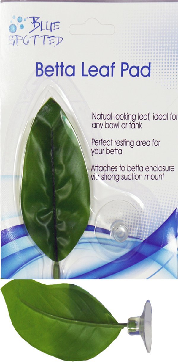 [Australia] - Blue Spotted Betta Plant Leaf Pads for Betta Fish, Tropical Fish Aquariums & Saltwater Fish Aquariums 1 Pack 