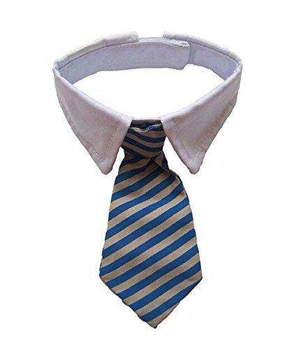 [Australia] - Vedem Pet Dog Cat Cotton Striped Bow Tie Collar Neck Tie White Collar 9''-12.5'' Blue M 