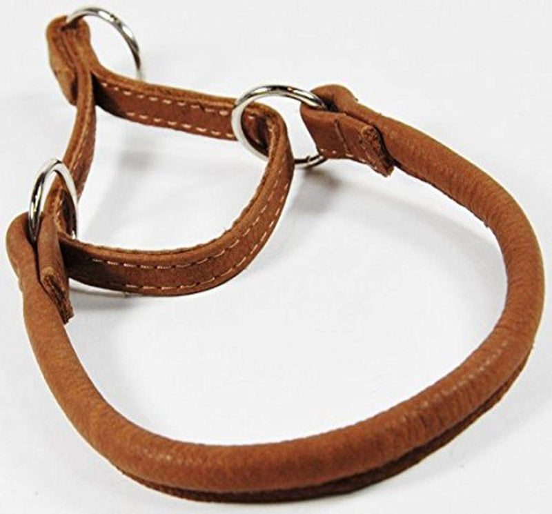 [Australia] - Dogline 1/3-Inch Wide Soft Rolled Genuine Leather Martingale Collar, 20-Inch, Brown 