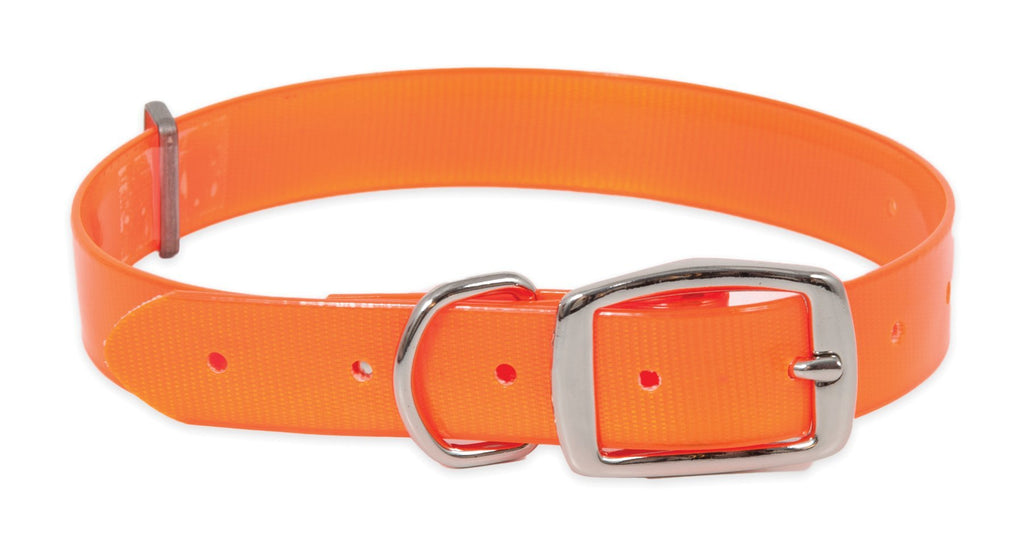 [Australia] - Petmate Aspen PET Products 10791 Flat Dog Collar, 1 by 14 to 22-Inch, Orange 