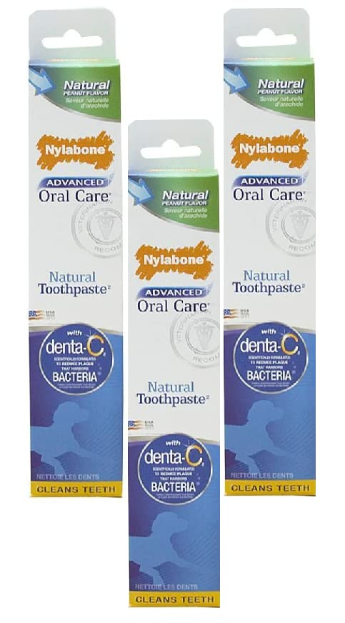 Nylabone Advanced Oral Care Peanut Flavored Natural Dog Toothpaste 2.5oz Tubes (3 Pack) - PawsPlanet Australia