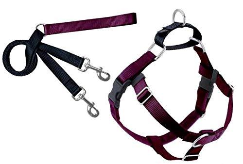 [Australia] - 2 Hounds Design Freedom No-Pull Dog Harness Training Package, Medium (1" Wide), Burgundy 