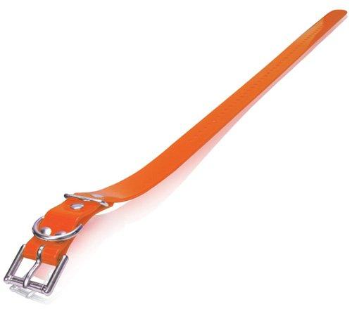 [Australia] - Dogtra Strap Orange 1" x 30" - 744622342024 