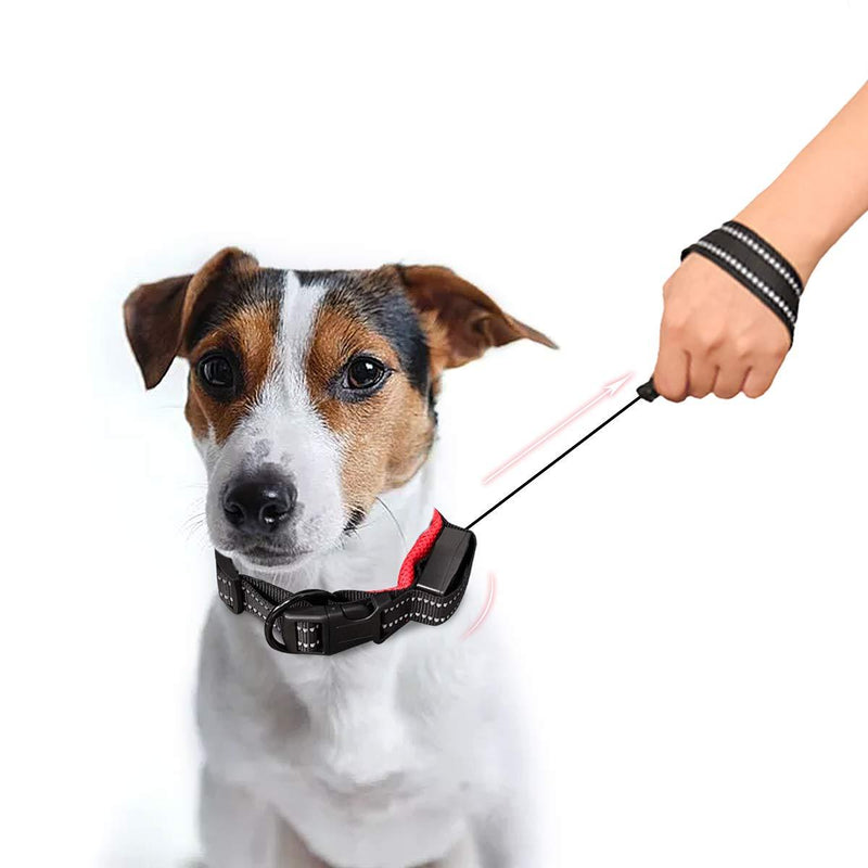 [Australia] - Namsan 2 in 1 Dog Leash Collar - Retractable Dog Collar Leash Dog Leash & Collar for Medium and Small Dogs,Red S: 14”~16” (36-40 cm) Red 