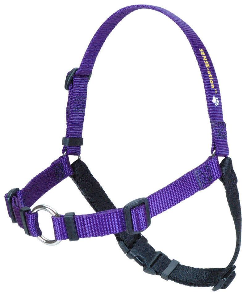 [Australia] - The Original Sense-ation No-Pull Dog Training Harness Purple Medium 