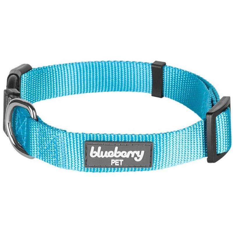 [Australia] - Blueberry Pet Essentials 22 Colors Classic Solid Color Collection - Regular Collars, Martingale Collars, Personalized Collars or Seatbelts Regular Collar - Small Turquoise 