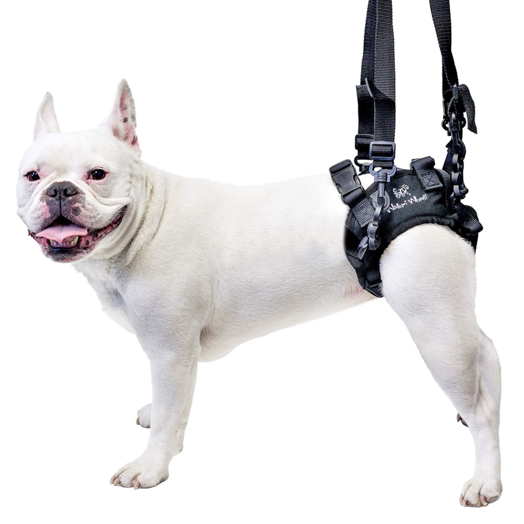 [Australia] - Walkin'’ Lift Rear Dog Support Harness | Helps Dogs with Arthritis, Weakness, Joint Injuries Rehab | Adjustable Handles Large 