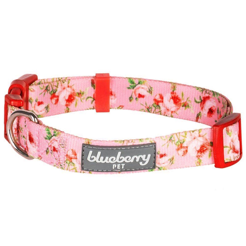 Blueberry Pet 10+ Patterns Spring Scent Floral Dog Collars, Personalized Collars Regular Collar - X-Small Rose Baby Pink - PawsPlanet Australia