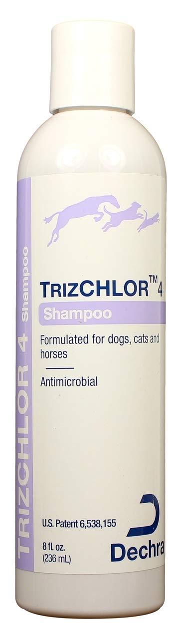 [Australia] - TrizChlor 4 Shampoo 8oz by Dechra [Pet Supplies] 