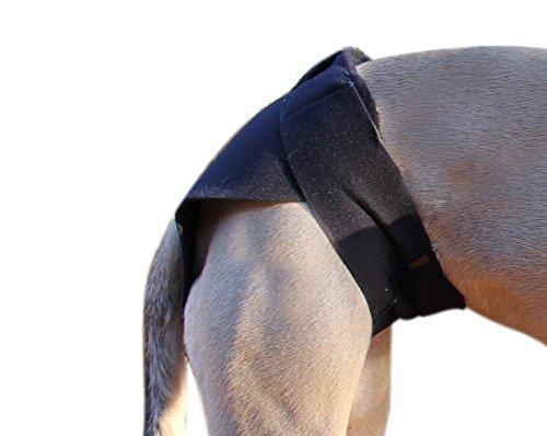 Healers Dog Anxiety Therapeutic Multi Use Wrap Rear Module Medium - PawsPlanet Australia