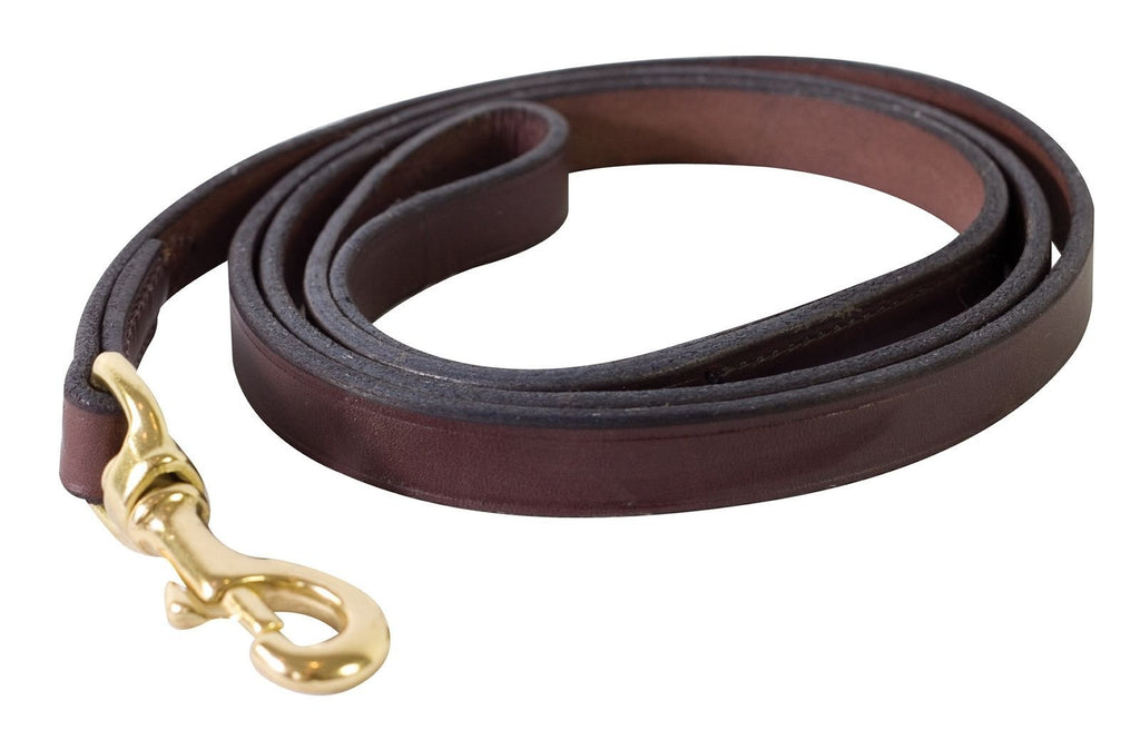 [Australia] - Perri's Leather 1/2-Inch Havana Leather Dog Leash, 5-Feet 