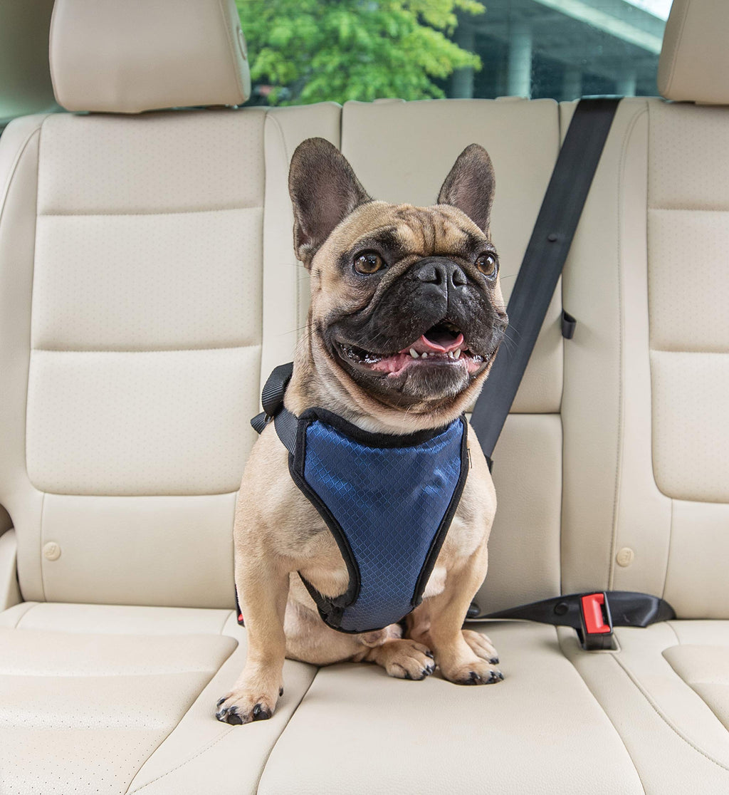 [Australia] - PetSafe Deluxe Car Safety Dog Harness, Adjustable Crash-Tested Dog Harness, Car Safety Seat Belt Tether Included Medium 