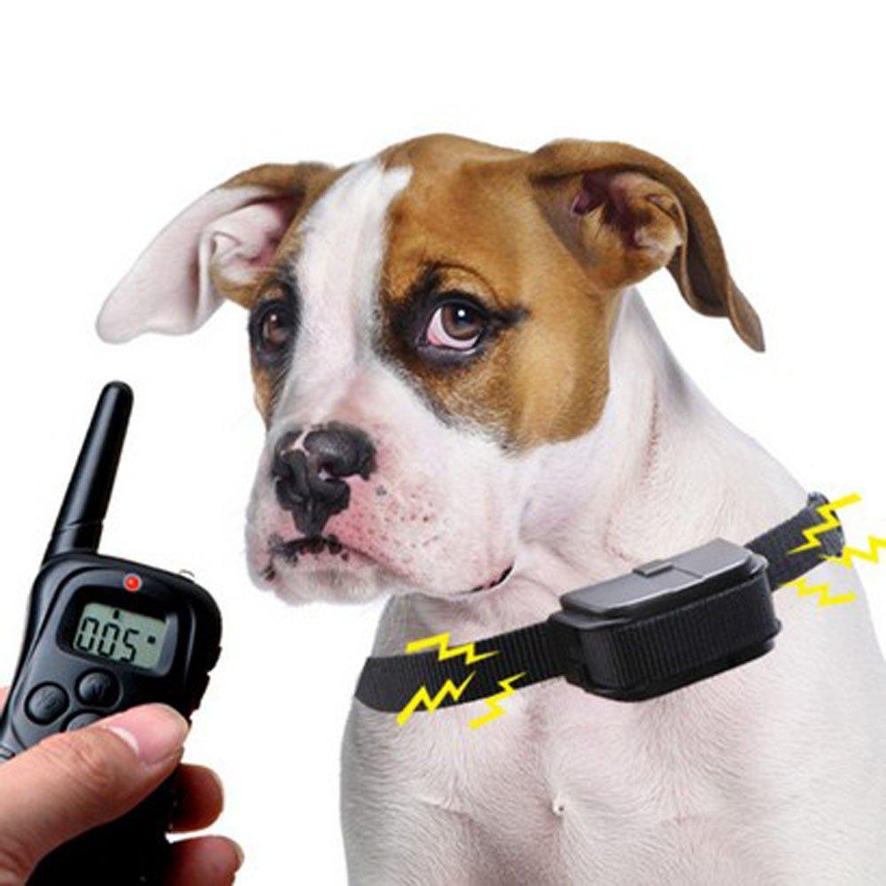 [Australia] - Winterworm Rechargeable 300M LCD Electronic Remote Control Dog Training Collar with 0-100 Levels Static and Vibration Modes for 1 Small/Medium Size Dog 