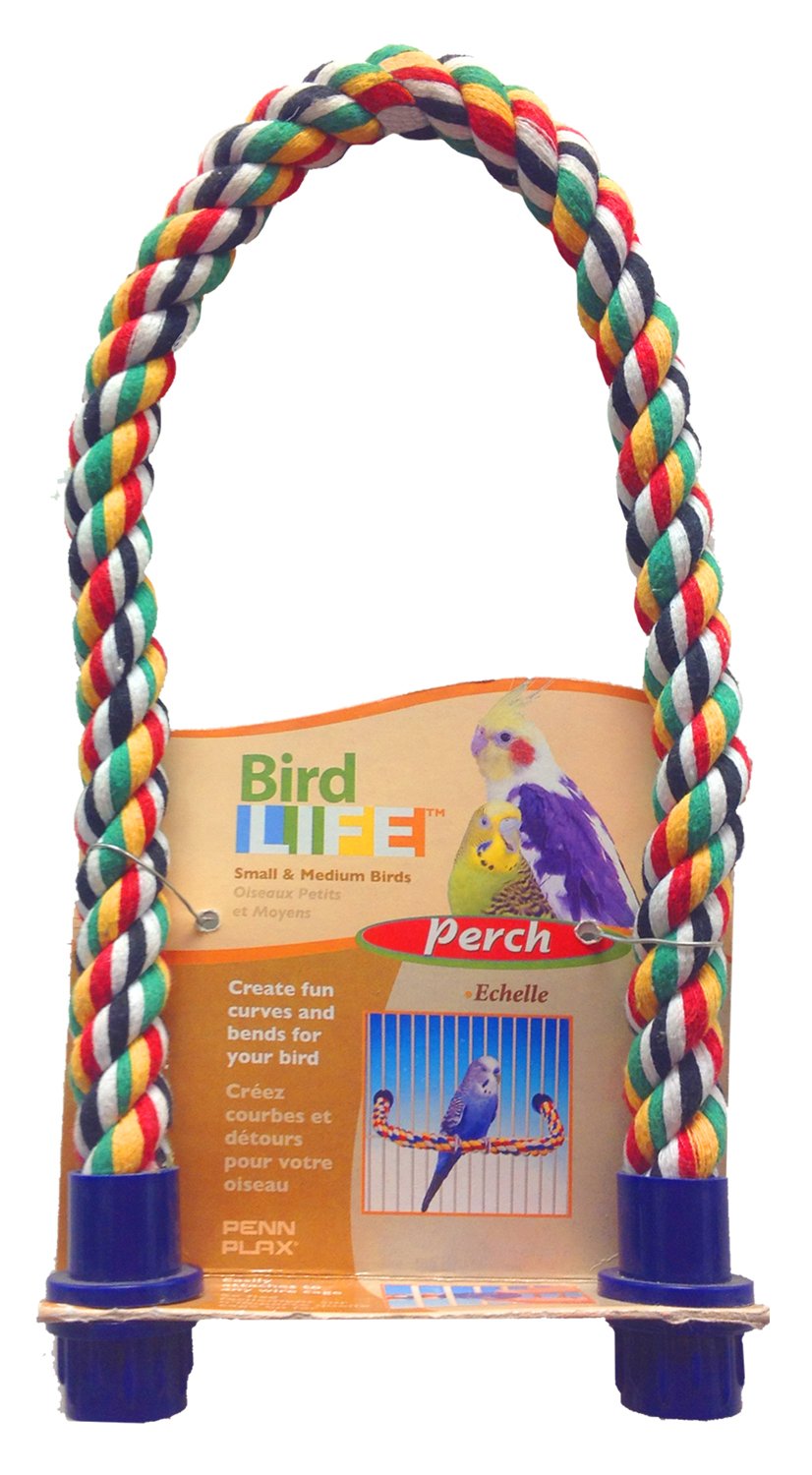 Penn-PLAX Bird Life Multicolored and Flexible Rope Perch – Create Fun, Colorful Curves and Bends – Great for Small and Medium Birds – 21” Long - PawsPlanet Australia