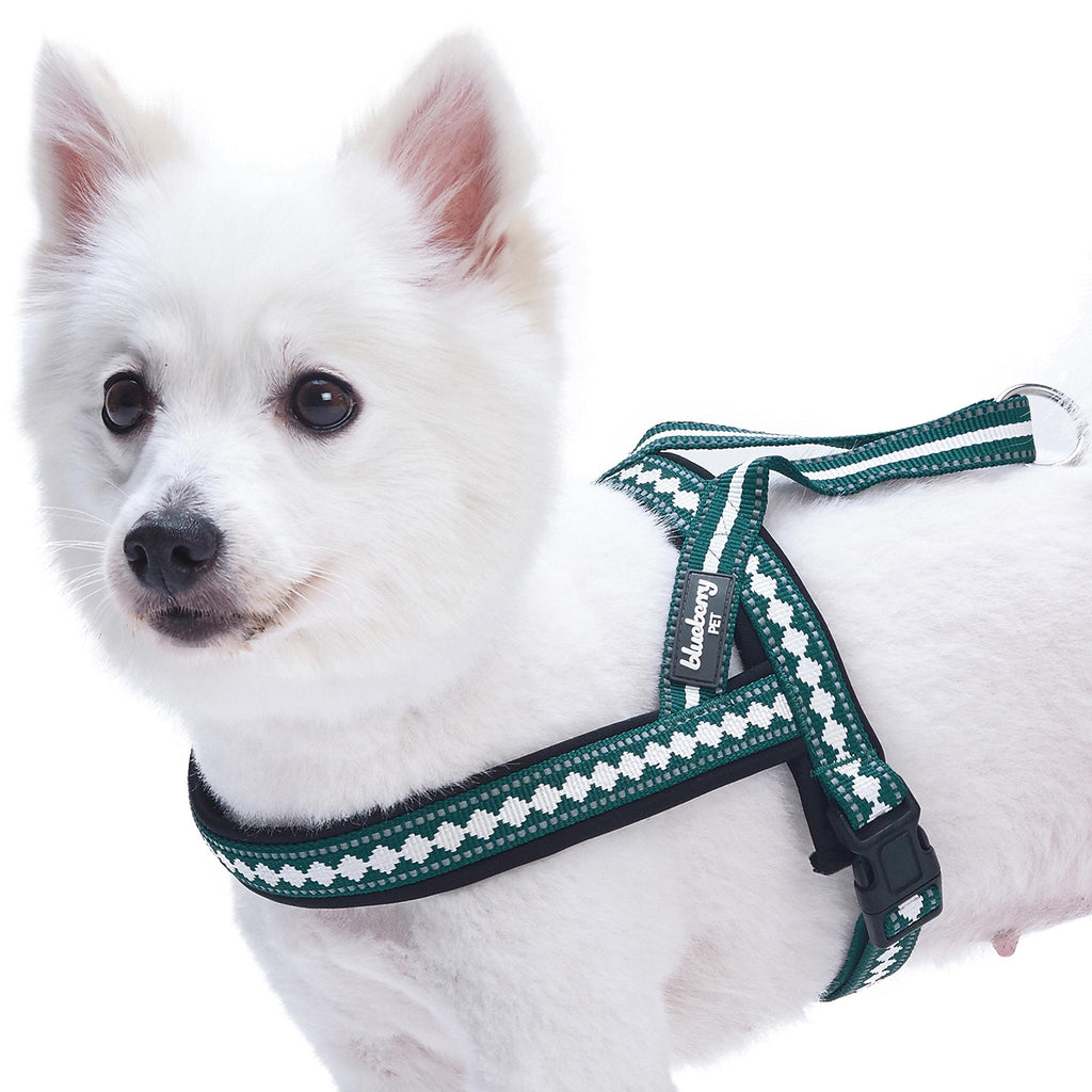 [Australia] - Blueberry Pet 3 Colors Soft & Comy Safety Reflective Padded Jacquard Dog Harnesses (21.5" - 27.5") Chest Girth Diamond Pattern - Teal Blue 