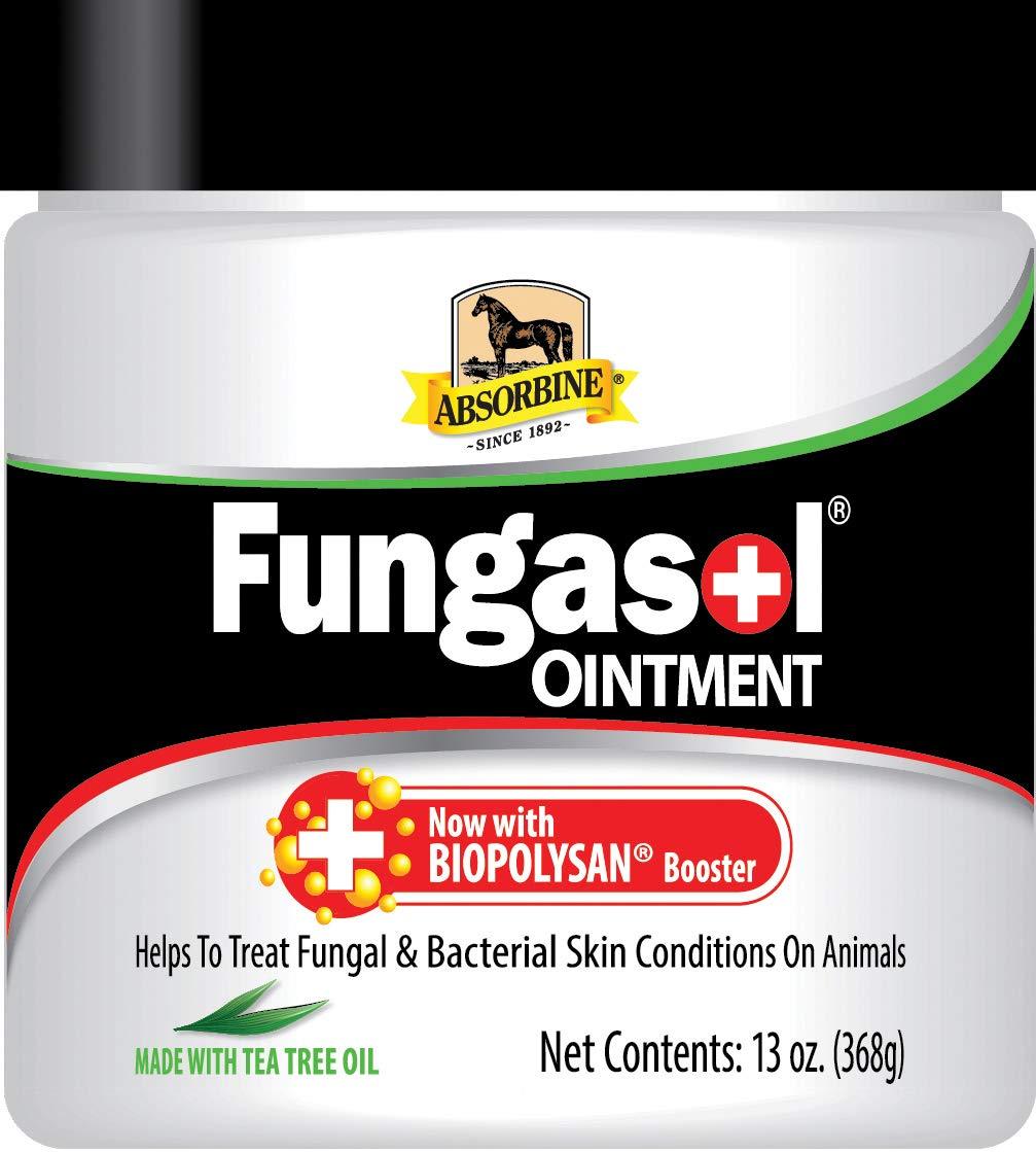 Absorbine Fungasol Ointment - PawsPlanet Australia