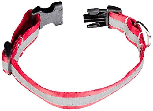 [Australia] - Petflect Reflective Adventure Play Collar Small Radiant Red/Silver 