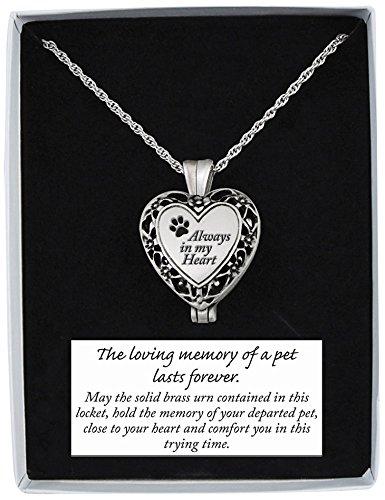 [Australia] - Cathedral Art Always in My Heart Memorial Pet Locket, Includes 24-Inch Chain 