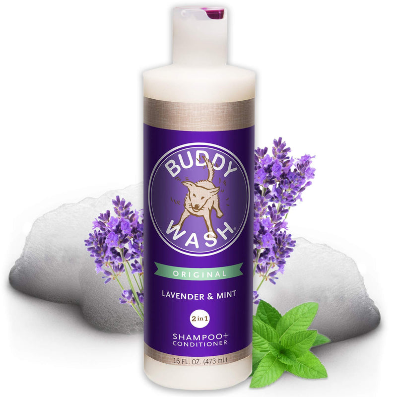 [Australia] - Buddy Wash Dog Shampoo & Conditioner for Dogs with Botanical Extracts and Aloe Vera Lavender & Mint 16 Fl Oz 